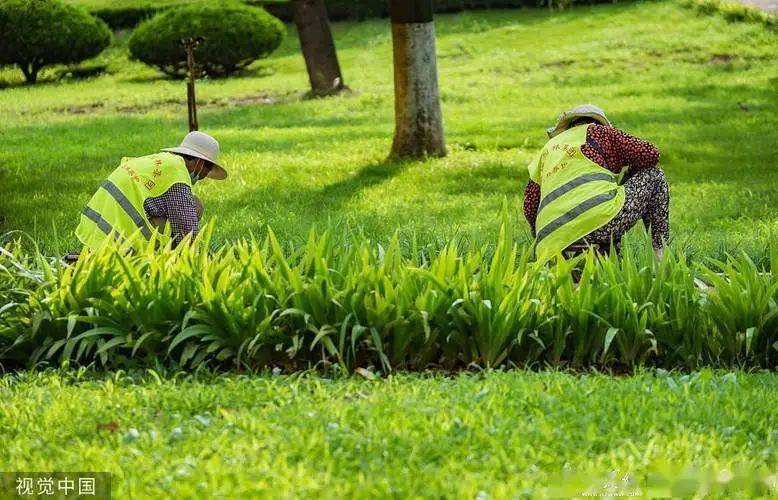 四川城市绿化工程技术规范