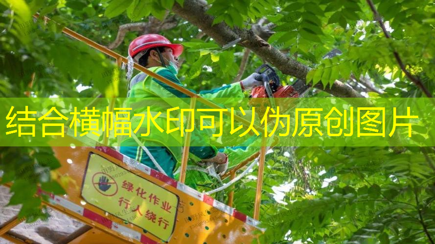 无锡新型绿化工程服务电话