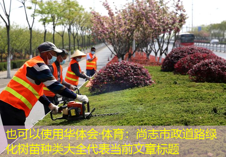 尚志市政道路绿化树苗种类大全